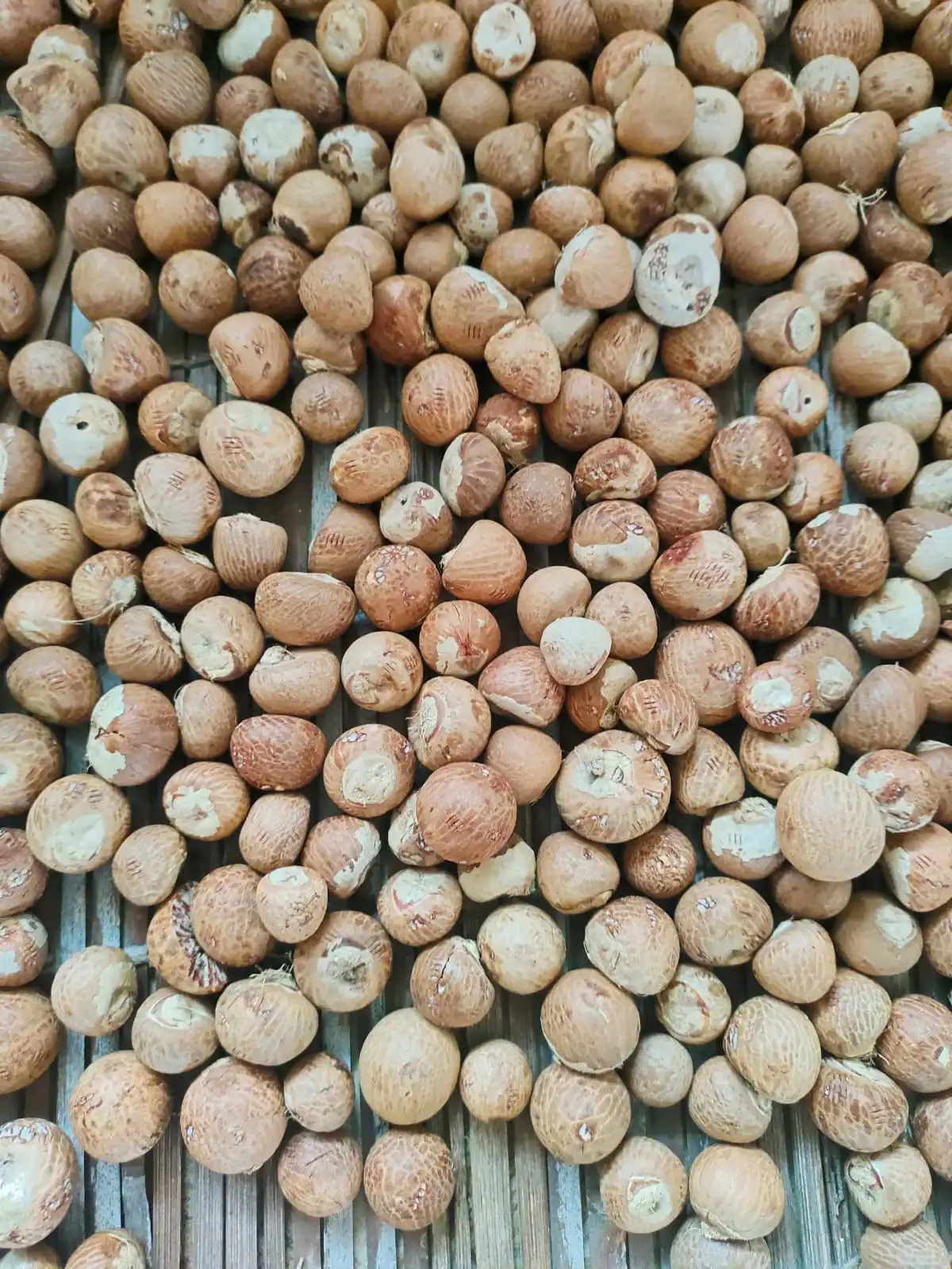 Grade B Cutting Arecanut Rashi